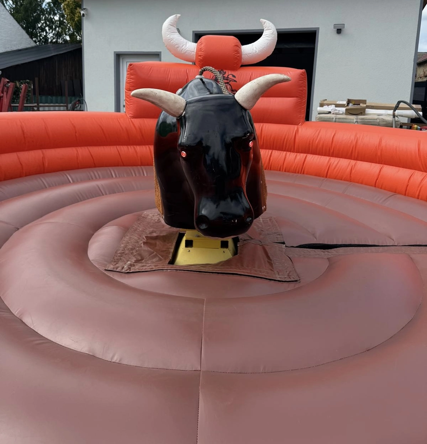 Hüpfburgen Mieten - Hüpfburg für alle Anlässe, Eventmodule - elektrischer Rodeo-Bulle