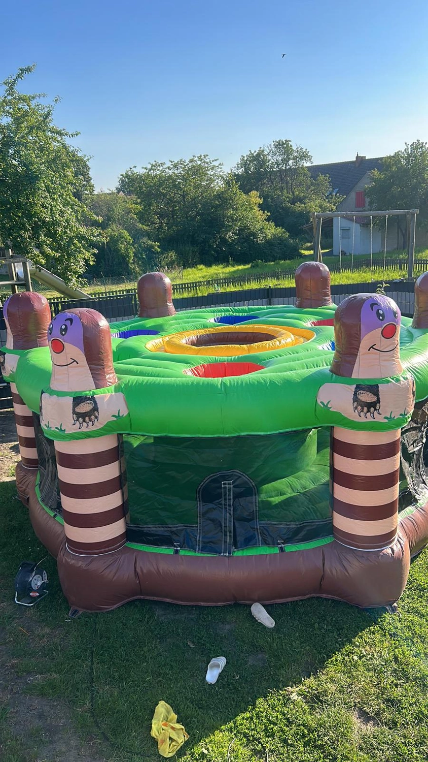 Hüpfburgen Mieten - Hüpfburg für alle Anlässe, Eventmodule -  Maulwurf-Hüpfburg